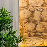 Holiday home Casa Da Porta Da - 3 Bedroom Castle House Albufeira